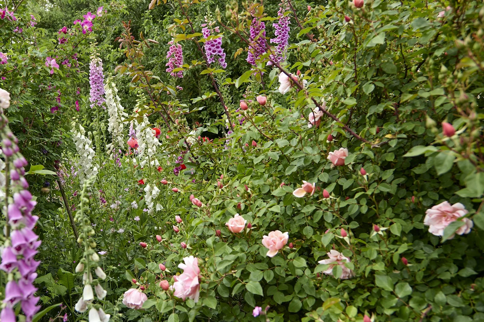 Gardens and greenery in the Buninyong area