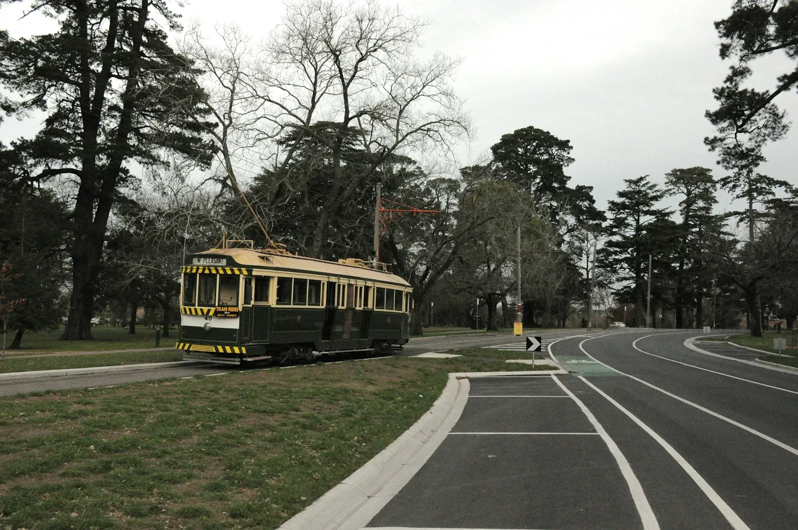 Tree-lined street in the Ballarat region near Sebastopol